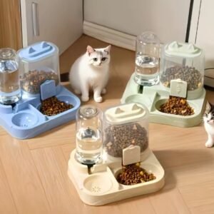 Pet Feeding Bowl